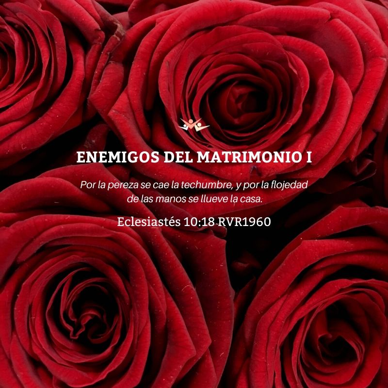 Enemigos del matrimonio I