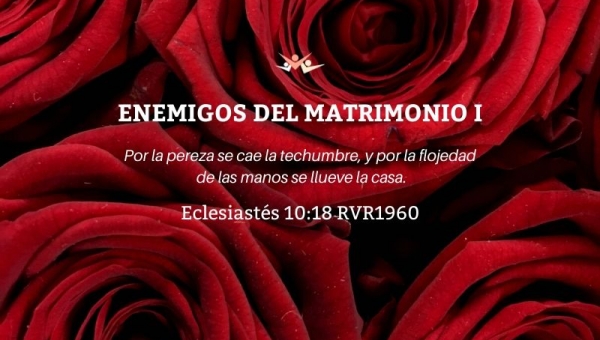 Enemigos del matrimonio I