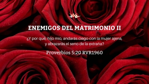 Enemigos del matrimonio II