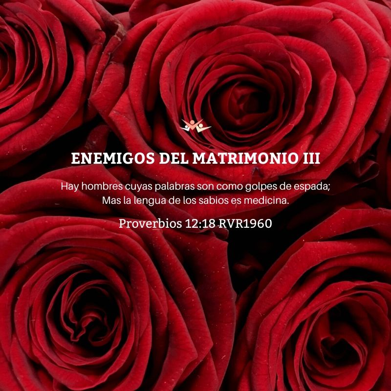 Enemigos del matrimonio III