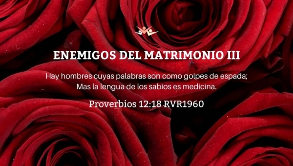 Enemigos del matrimonio III