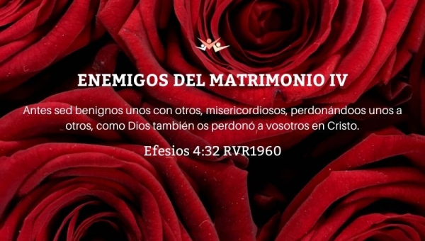 Enemigos del matrimonio IV