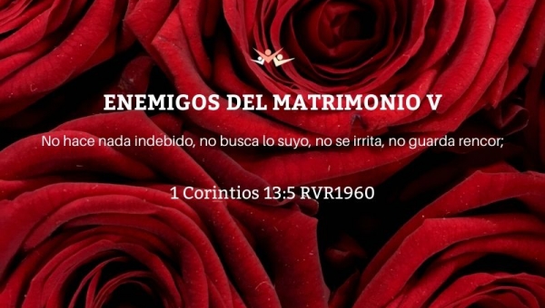 Enemigos del matrimonio V