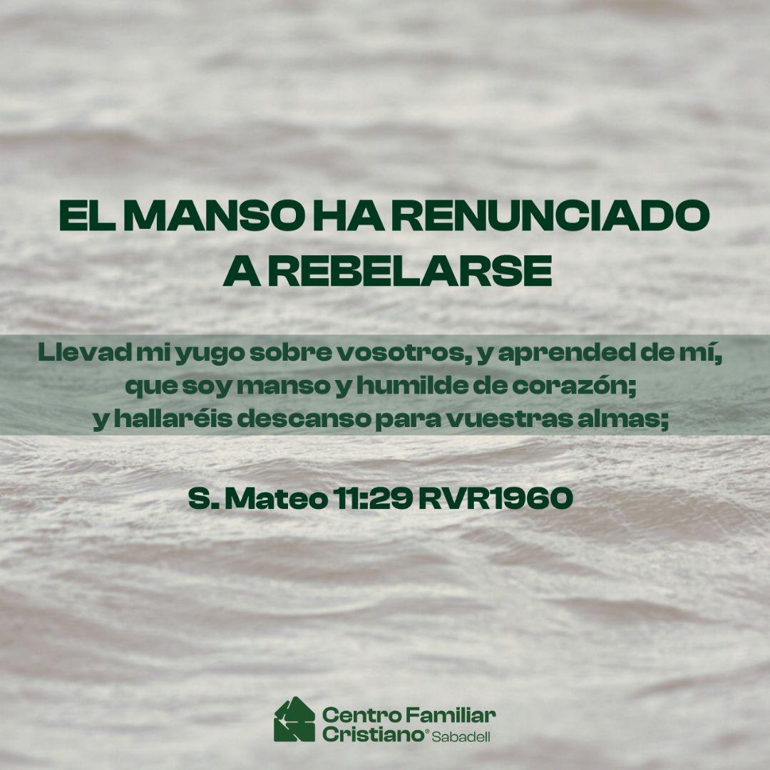 EL MANSO HA RENUNCIADO A REBELARSE