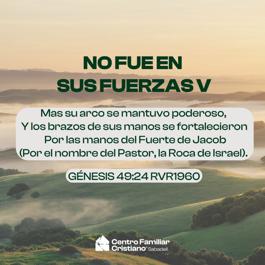 NO FUE EN SUS FUERZAS V